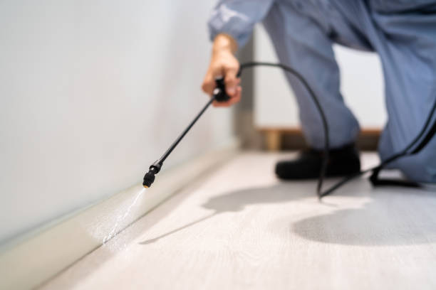 Licensed Pest Control service in Warsaw, NC - Show Me Pest Control