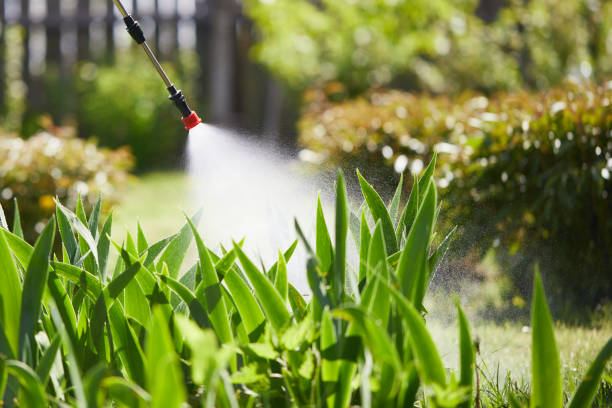 24/7 Emergency Wasp Removal experts in Warsaw, NC
