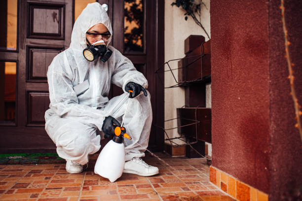 Reliable Wasp Removal contractor in Warsaw, NC by Show Me Pest Control
