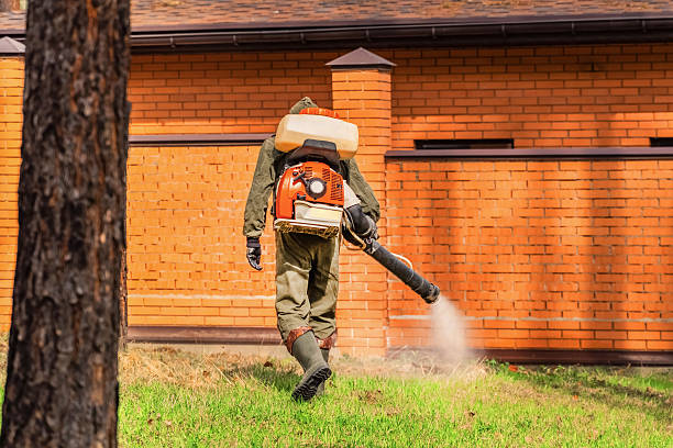 Top rated local Wasp Removal specialists in Warsaw, NC
